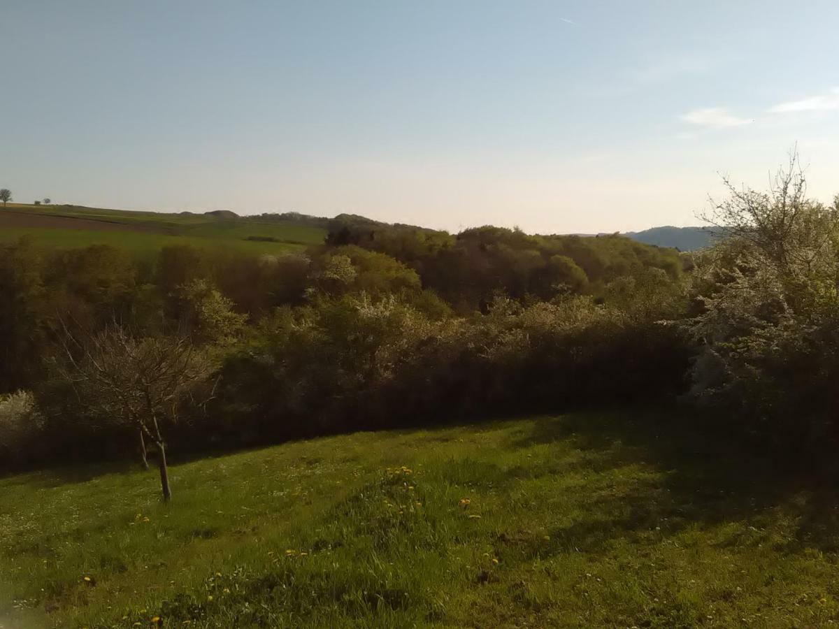 Ferienwohnung Barzen Ralingen Zewnętrze zdjęcie