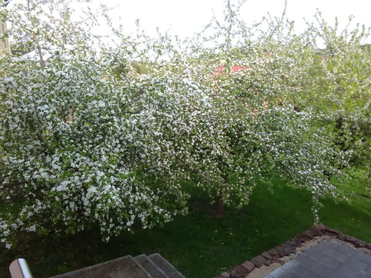 Ferienwohnung Barzen Ralingen Zewnętrze zdjęcie
